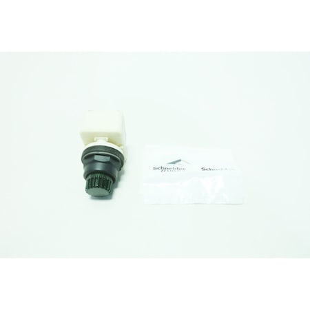 Schneider Electric Illuminated Green 120V-AC 120V-DC Pushbutton 9001SK2L38G